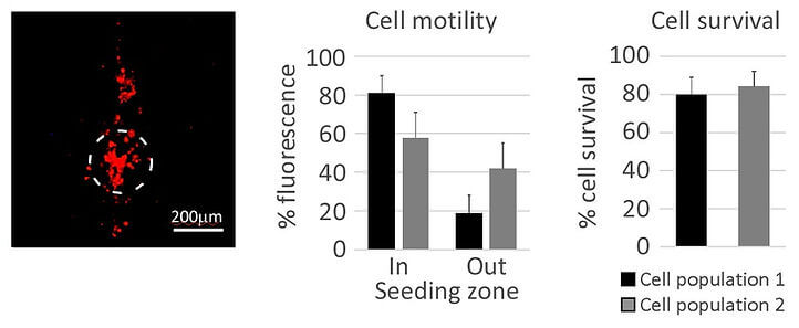 cell-survival-img