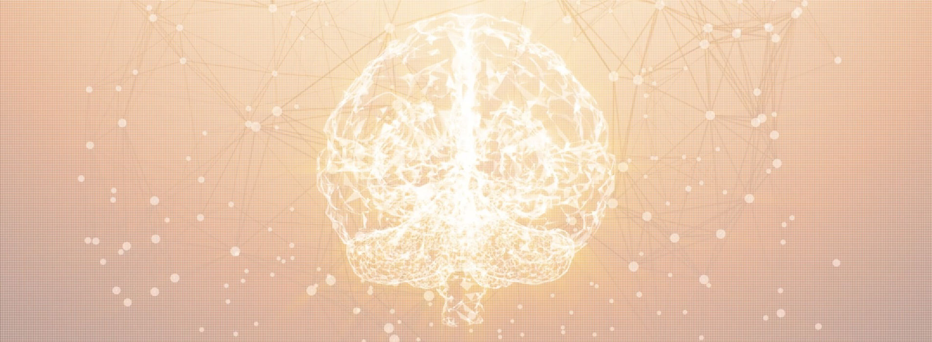 banner-img