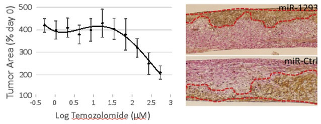 neural-tissue-img